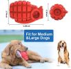 A durable and sturdy red grenade sounding toy suitable for large breeds of dogs; and a dog toy for cleaning teeth with non-toxic natural rubber